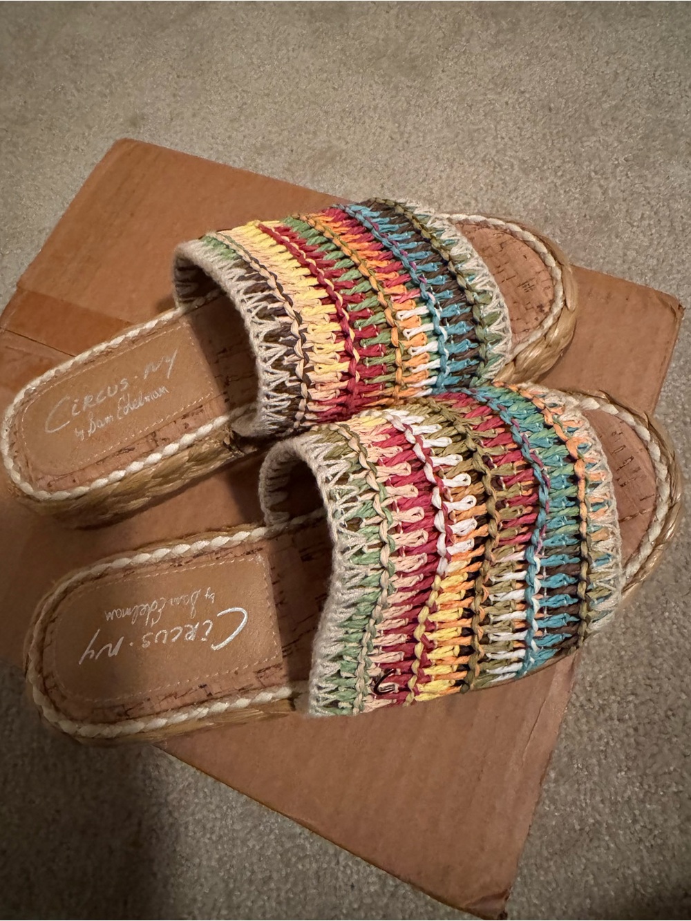 Circus by Sam Edelman Rainbow Woven Slide Mules